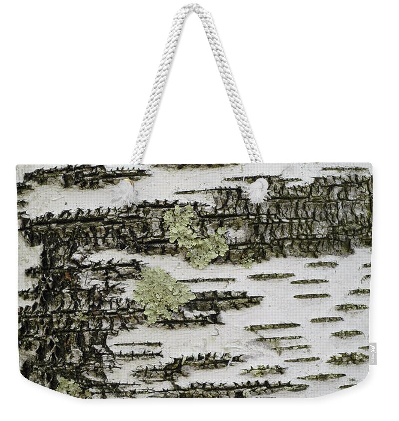 Bark Weekender Tote Bag featuring the photograph Bark Of Paper Birch by Gregory G Dimijian