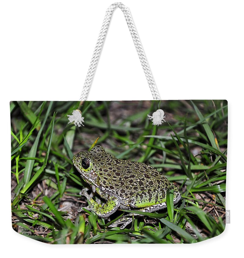 Frog Weekender Tote Bag featuring the photograph Barking Tree Frog by Al Powell Photography USA