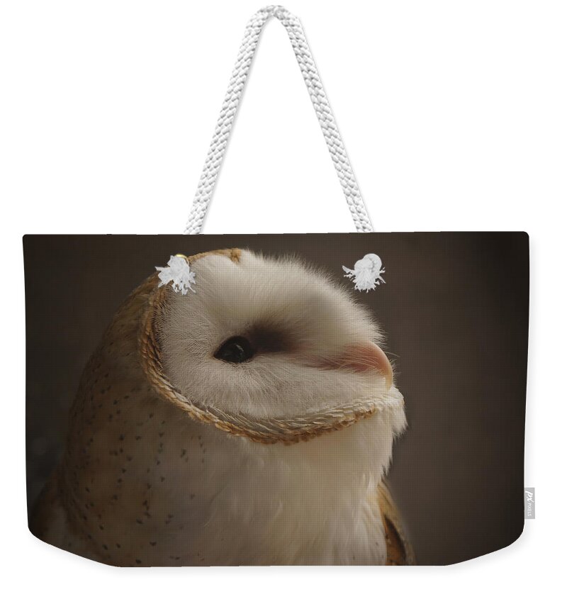 Barn Owl 4 Weekender Tote Bag featuring the photograph Barn Owl 4 by Ernest Echols