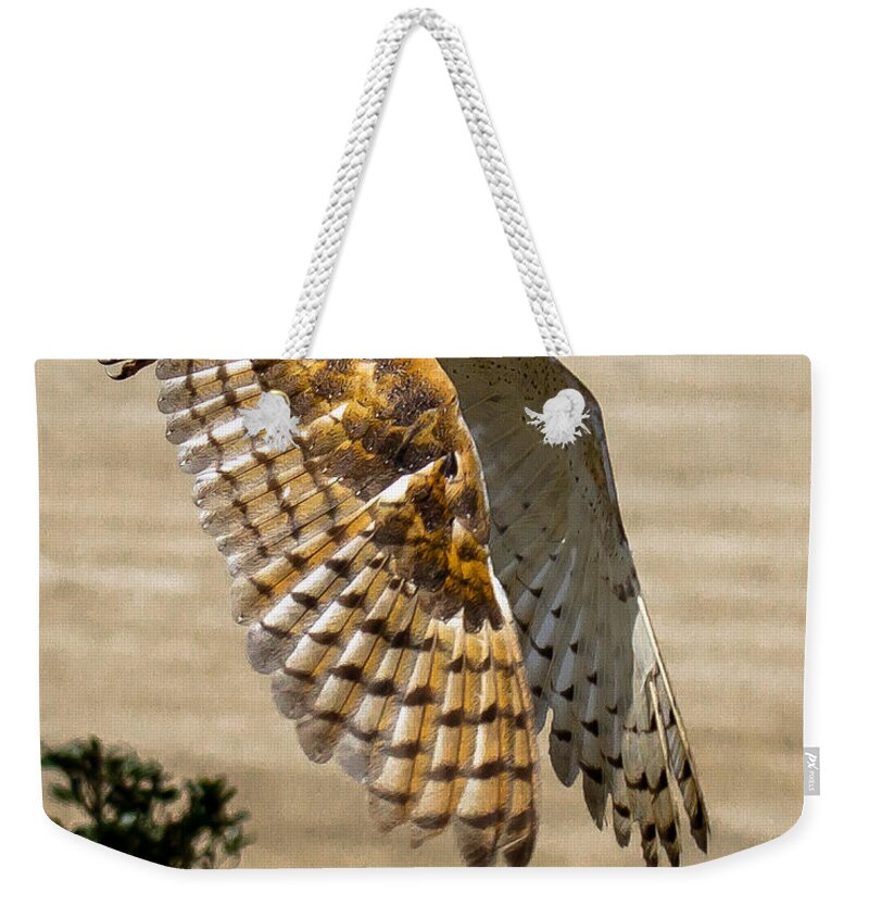 Barn Owl Weekender Tote Bag featuring the photograph Barn Owl by Robert L Jackson