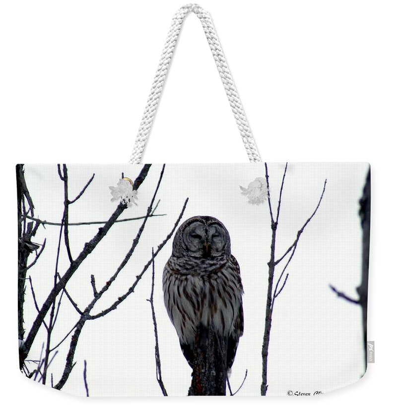 Owl Weekender Tote Bag featuring the photograph Barred Owl 4 by Steven Clipperton