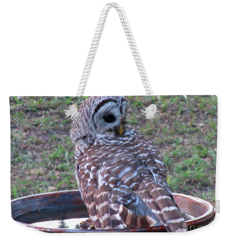 Barred Owl Weekender Tote Bag featuring the photograph Barred Owl Taking a Dip by Jimmie Bartlett