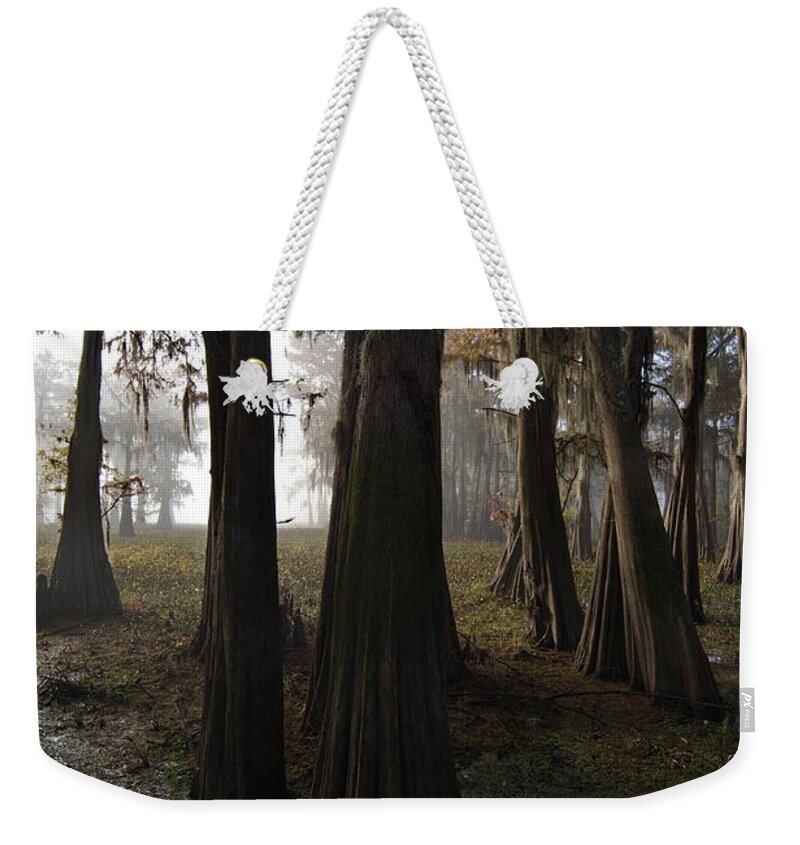 Atchafalaya Basin Weekender Tote Bag featuring the photograph Basin Sentinels by Ron Weathers
