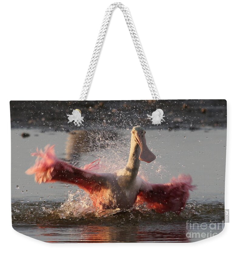 Fort Myers Beach Weekender Tote Bag featuring the photograph Bath Time - Roseate Spoonbill by Meg Rousher