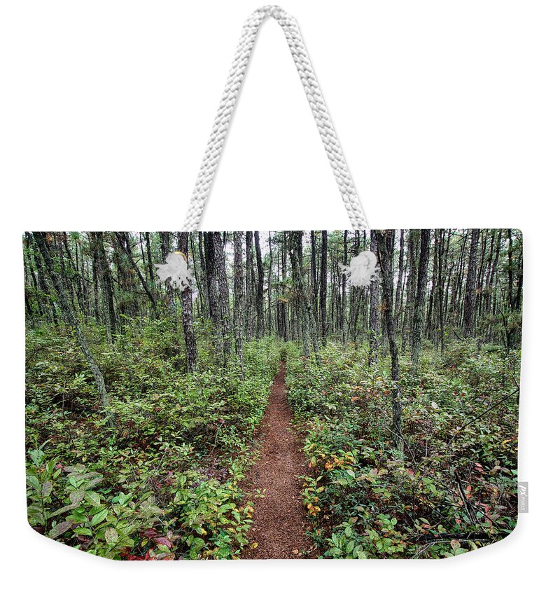New Jersey Weekender Tote Bag featuring the photograph Batona Trail by Dawn J Benko