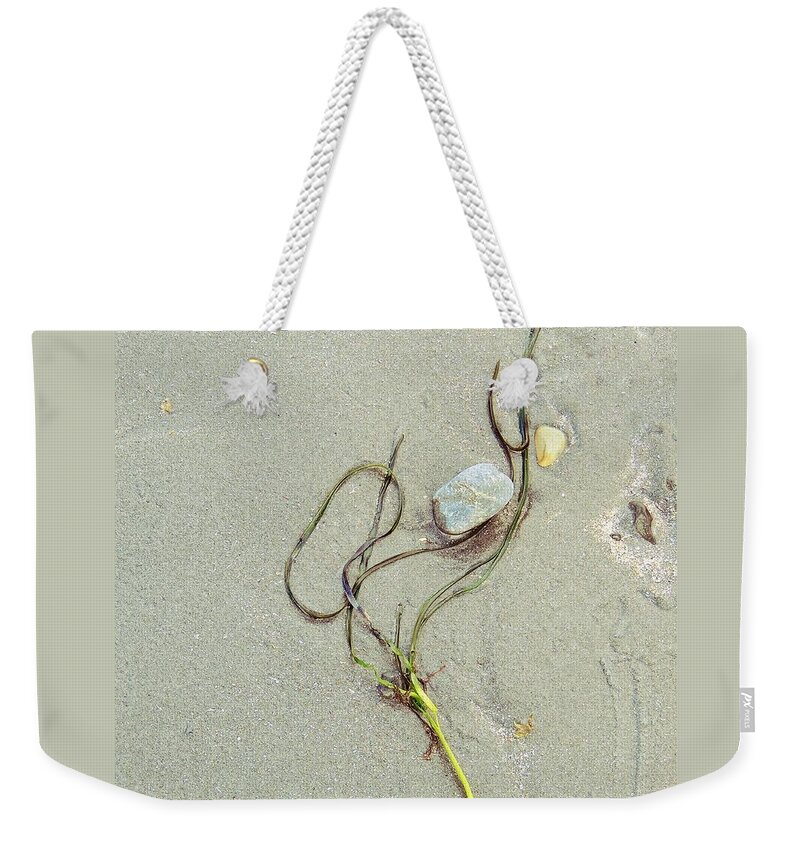 Nature Weekender Tote Bag featuring the photograph Beach Arrangement 5 by Marcia Lee Jones