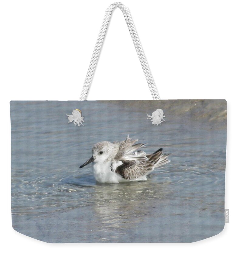 Landscape Weekender Tote Bag featuring the photograph Beach Bird Bath 4 by Ellen Meakin