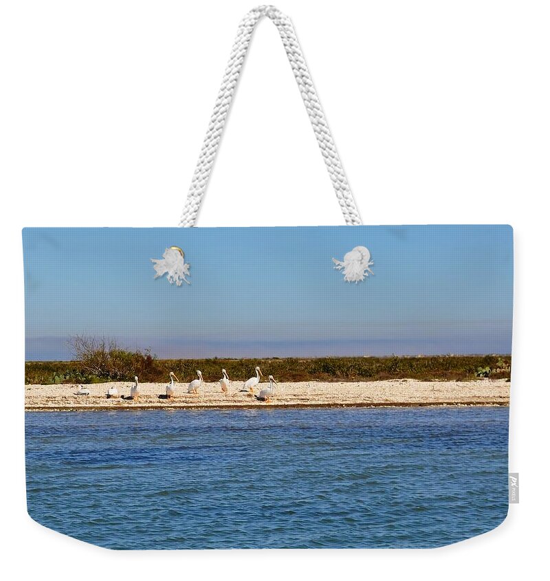 Beach Weekender Tote Bag featuring the photograph Beach Birds by Kristina Deane
