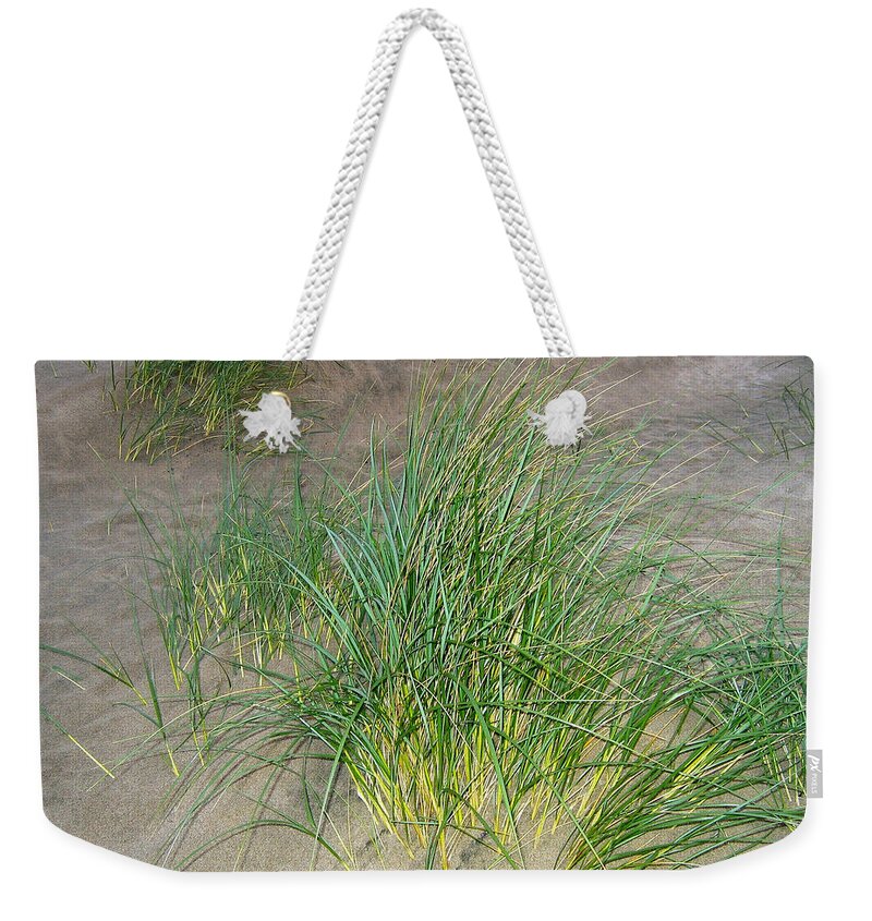 Beach Grass Weekender Tote Bag featuring the photograph Beach Grass by Will Borden