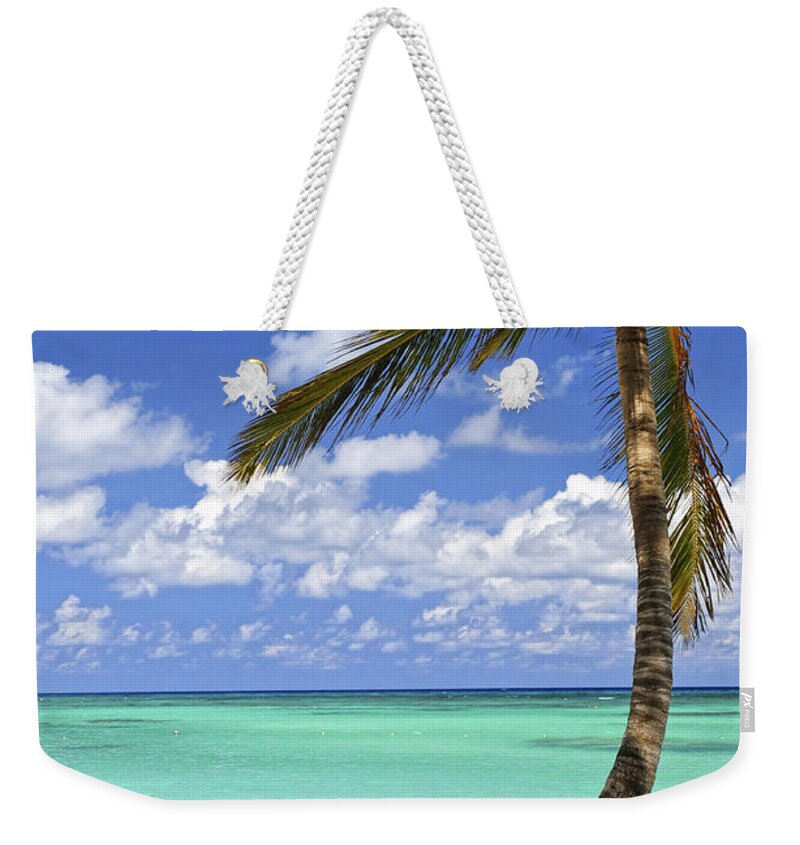 Beach Weekender Tote Bag featuring the photograph Beach of a tropical island by Elena Elisseeva