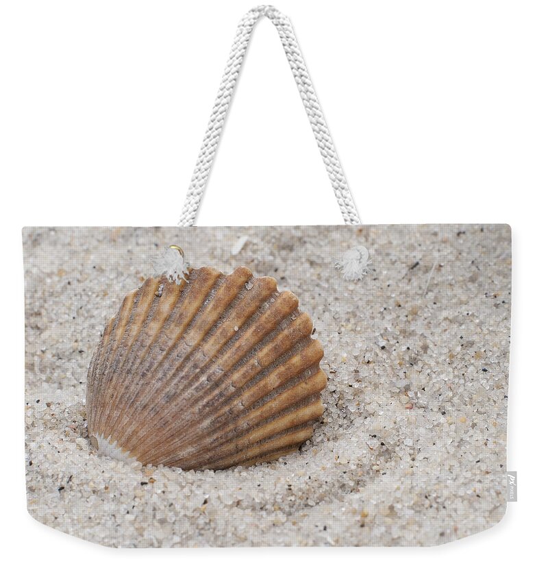 Beach Seashell Weekender Tote Bag featuring the photograph Beach Seashell by Terry DeLuco