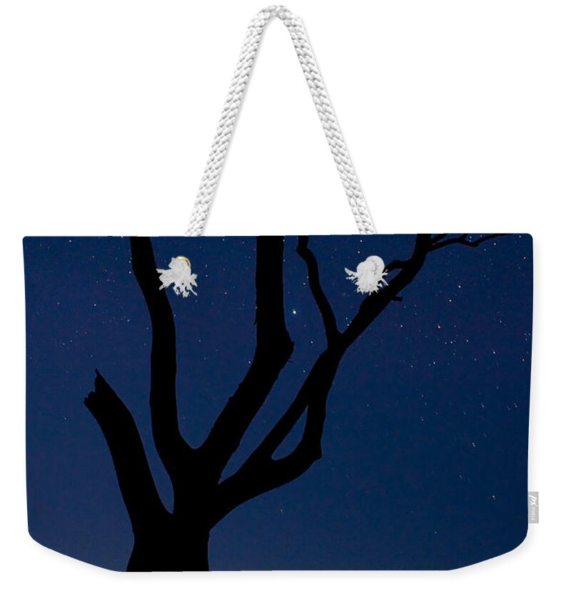 2008 Weekender Tote Bag featuring the photograph Beachmere by Robert Charity