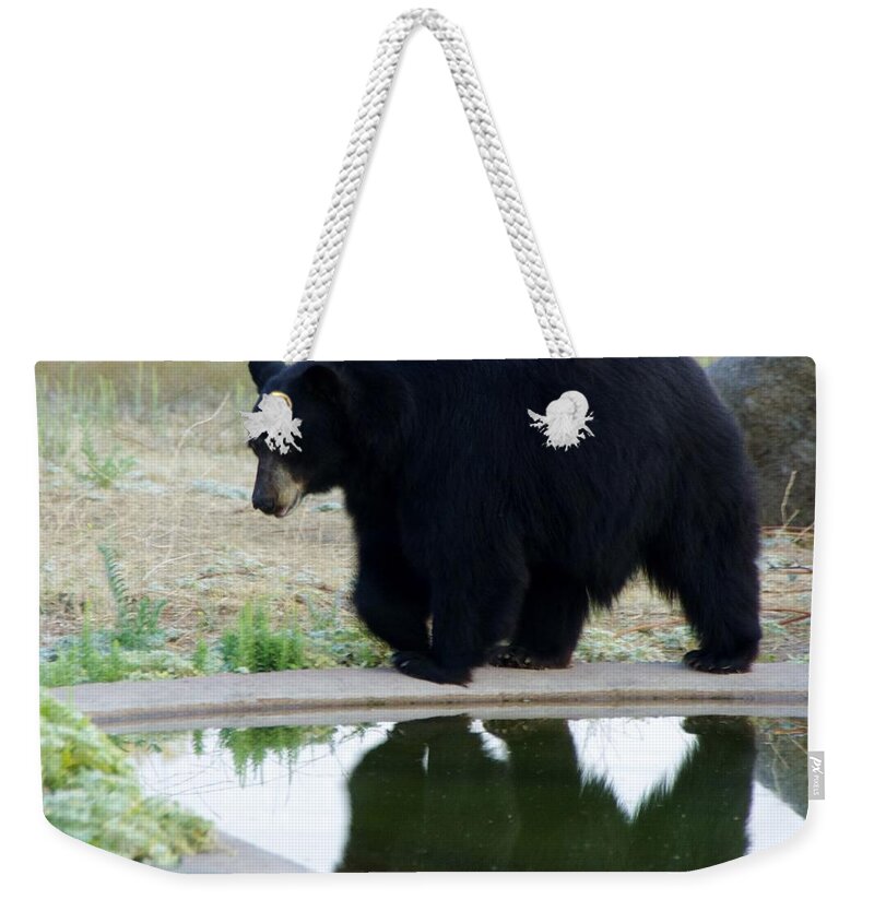 Lions Tigers And Bears Weekender Tote Bag featuring the photograph Bear 2 by Phyllis Spoor