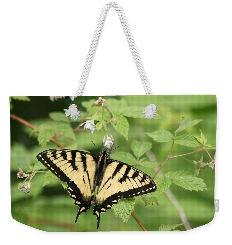Yellow Weekender Tote Bag featuring the photograph Beautiful Butterfly by Lynne McQueen