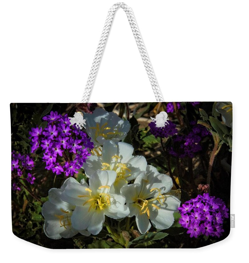 Anza Borrego Weekender Tote Bag featuring the photograph Beautiful Companions by Lynn Bauer