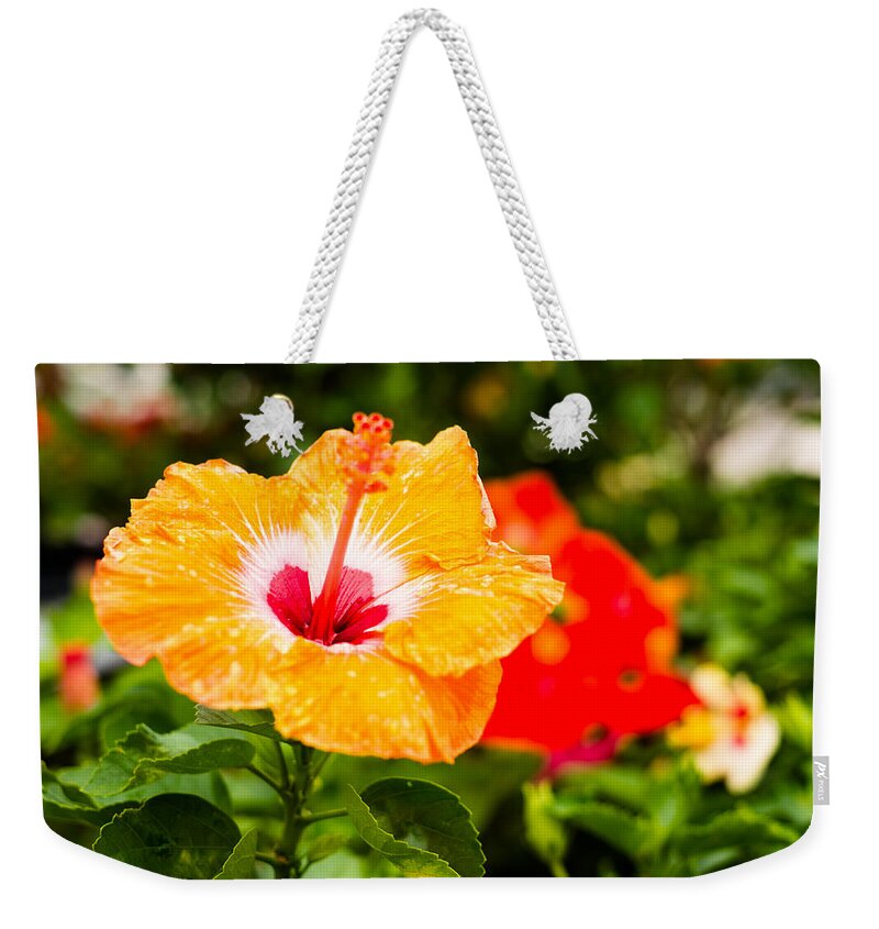 Beautiful Weekender Tote Bag featuring the photograph Beautiful Hibiscus by Raul Rodriguez