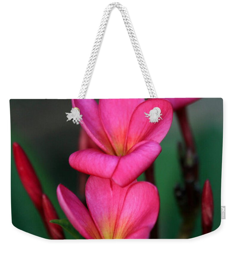  Weekender Tote Bag featuring the photograph Beautiful Red Plumeria by Sabrina L Ryan