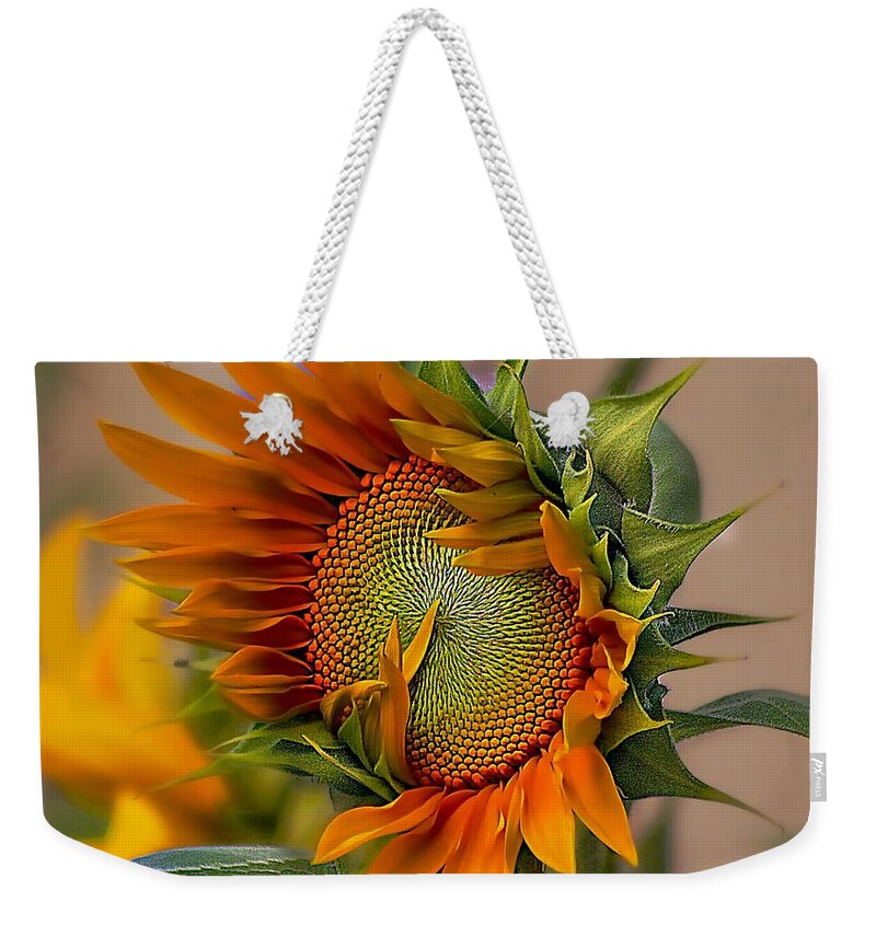 John+kolenberg Weekender Tote Bag featuring the photograph Beautiful Sunflower by John Kolenberg