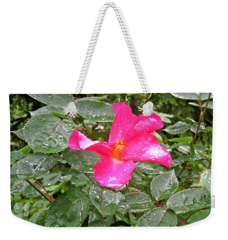 Flower Weekender Tote Bag featuring the photograph Beauty After The Rain by Felix Zapata