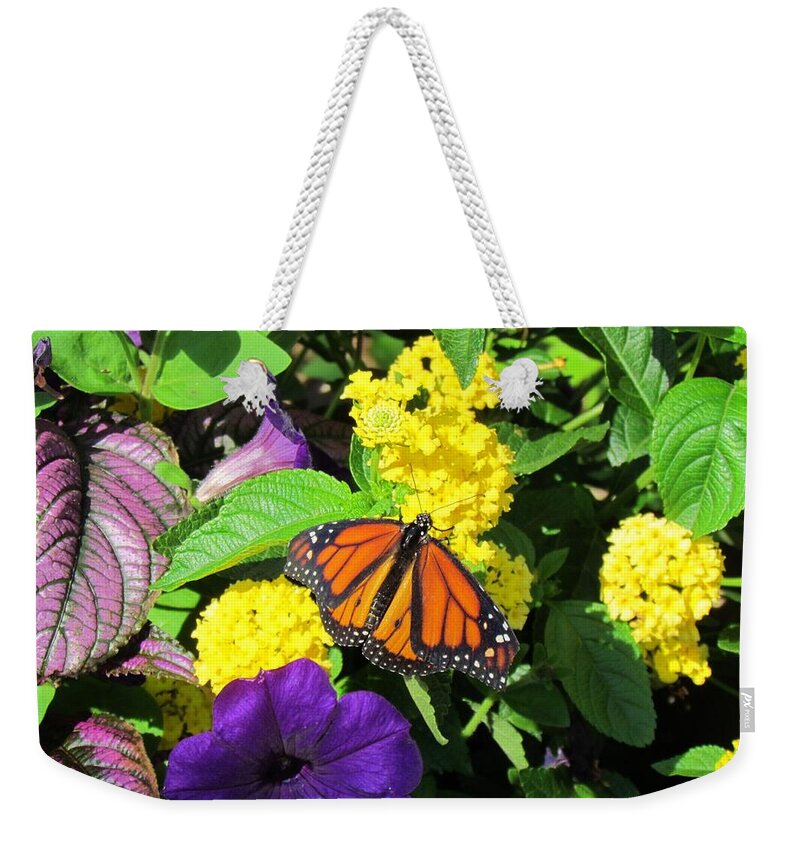 Flower Weekender Tote Bag featuring the photograph Beauty All Around by Cynthia Guinn