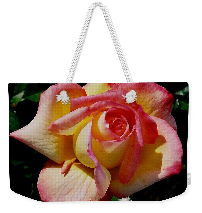 Rose Weekender Tote Bag featuring the photograph Beauty at its Best by Debby Pueschel