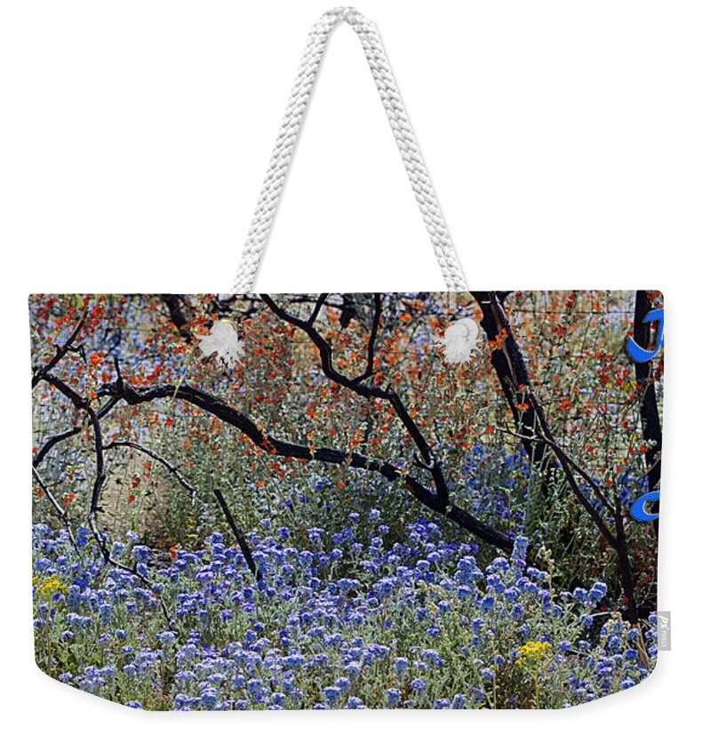 Flowers Weekender Tote Bag featuring the photograph Beauty For Ashes by Phyllis Denton