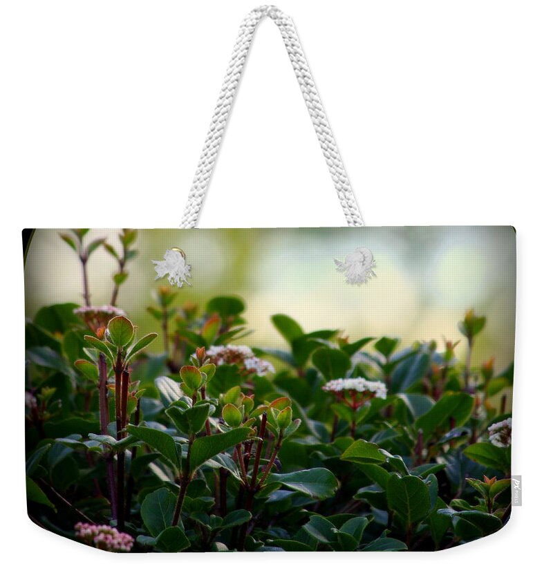 Beauty In Agony Weekender Tote Bag featuring the photograph Beauty In Agony by Jeanette C Landstrom