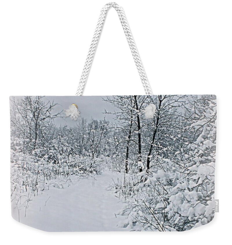 Winter Weekender Tote Bag featuring the photograph Beauty Of Winter by Kay Novy