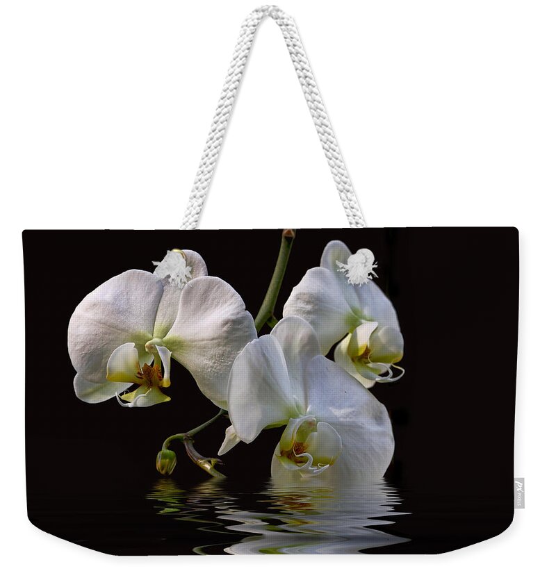 White Orchids Weekender Tote Bag featuring the photograph White Orchids by Peggy Collins