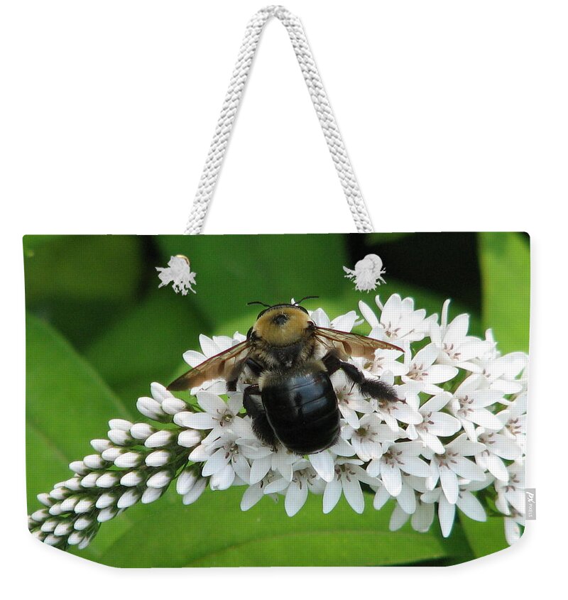 Bee Weekender Tote Bag featuring the photograph Bee Back by Cleaster Cotton