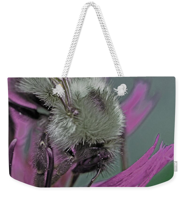 Insects Weekender Tote Bag featuring the photograph Bee Calm by Jennifer Robin