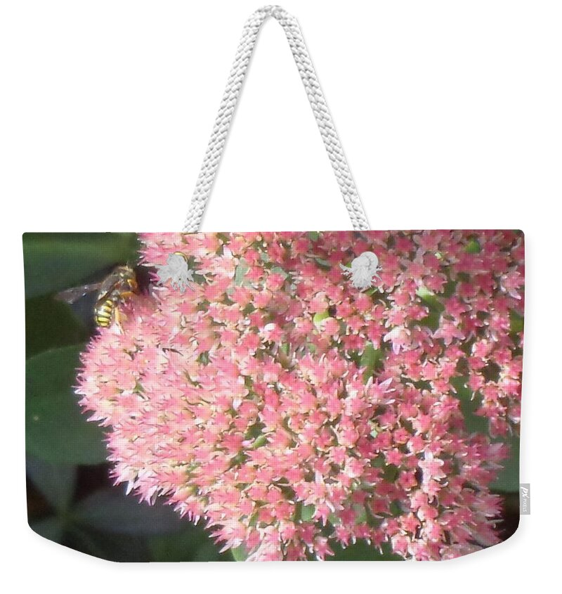  Valentine Weekender Tote Bag featuring the photograph Bee Climbing by Christina Verdgeline