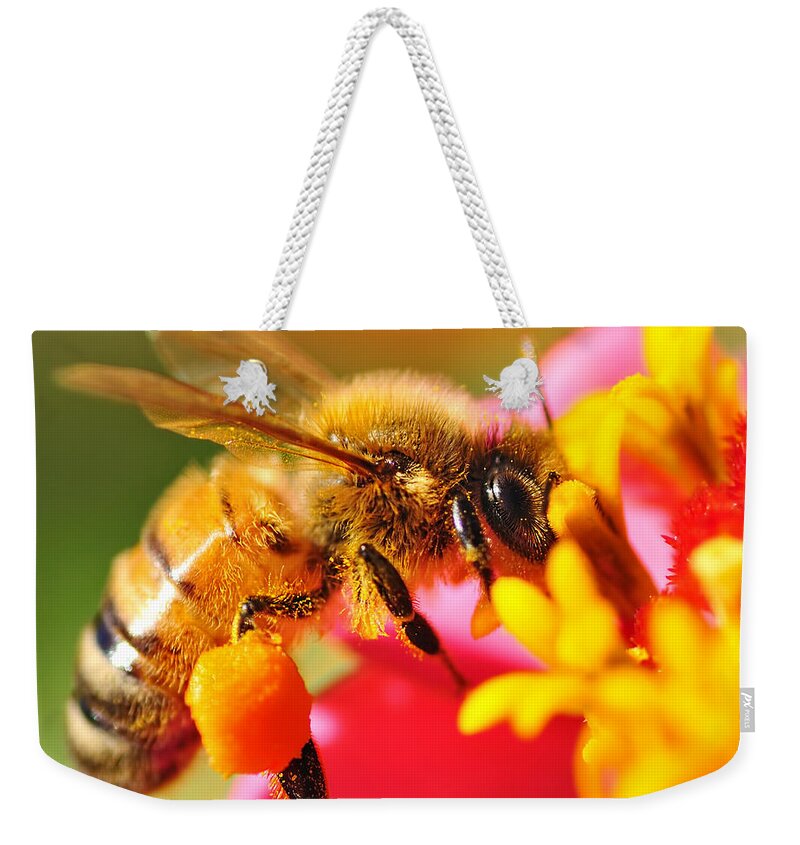 Photography Weekender Tote Bag featuring the photograph Bee Laden with Pollen 2 by Kaye Menner by Kaye Menner