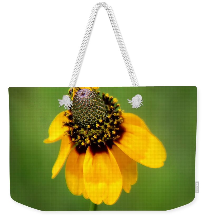 Bee Weekender Tote Bag featuring the photograph Bee My Coneflower by Lucy VanSwearingen