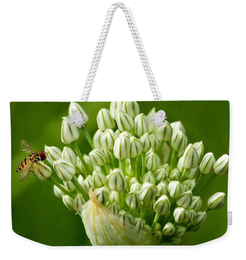 White Onion Flower; Alliums Weekender Tote Bag featuring the photograph Onion Bloom with Bee by Iris Richardson
