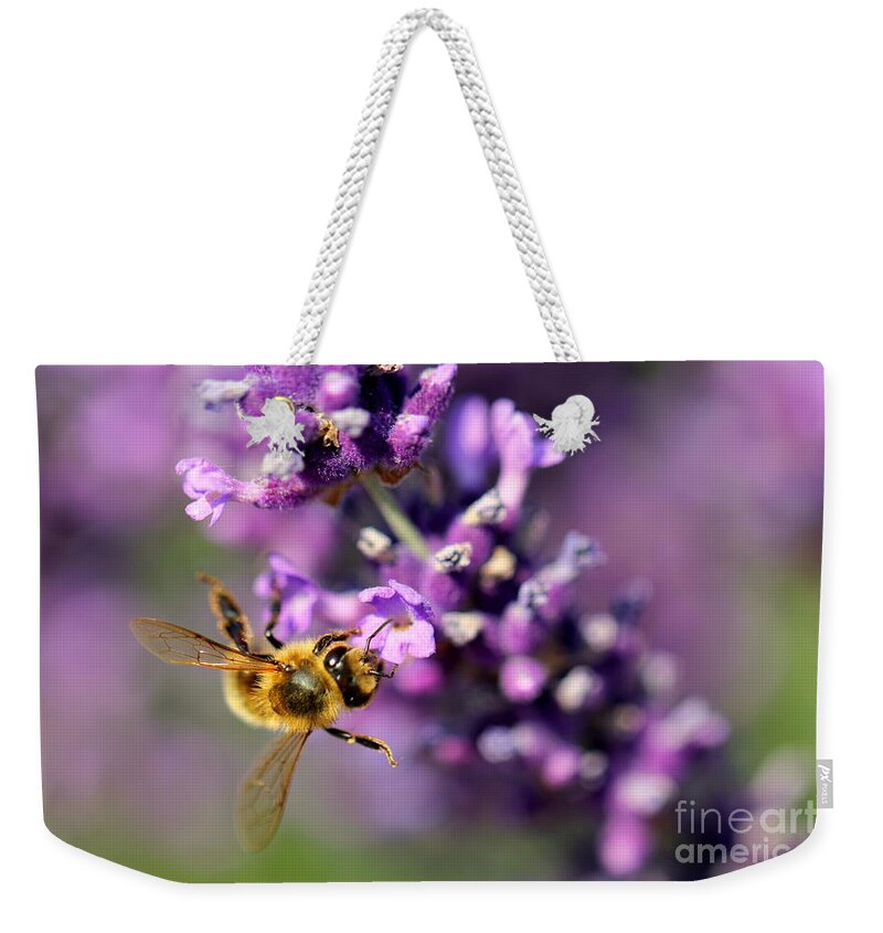Bee Weekender Tote Bag featuring the photograph Bee on the Lavender Branch by Amanda Mohler
