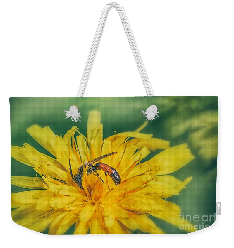 Halictid Bee Weekender Tote Bag featuring the photograph Bee Pollinator by Jivko Nakev