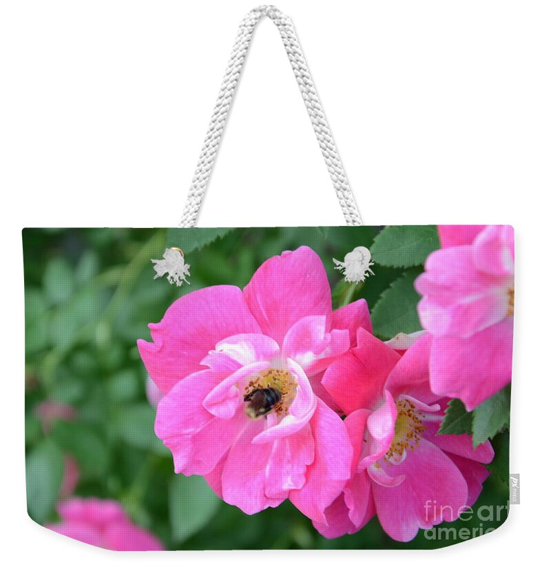 Bee Weekender Tote Bag featuring the photograph Bee Rosy by Laurel Best