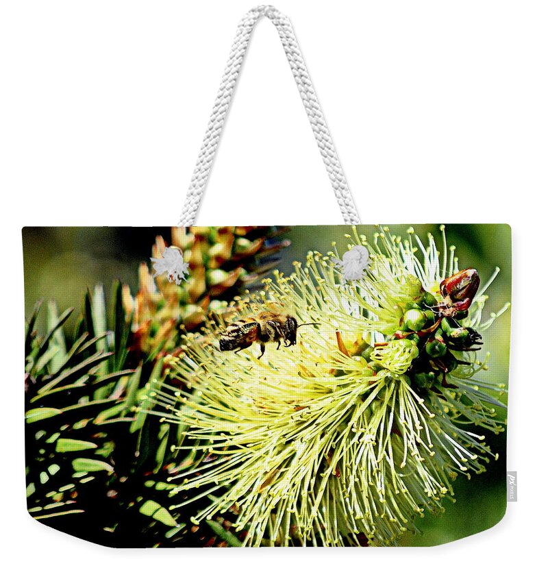 Insect Weekender Tote Bag featuring the photograph Bee Stop by AJ Schibig