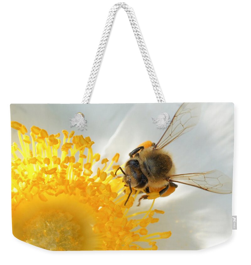 Bee Weekender Tote Bag featuring the photograph Bee-U-tiful by TK Goforth