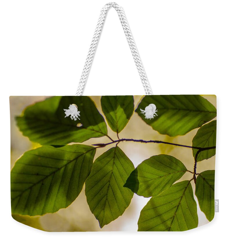 Leaf Weekender Tote Bag featuring the photograph Beech Leaves and Bokeh by Jan Bickerton