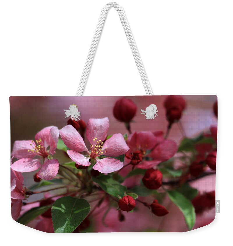 Flowers Weekender Tote Bag featuring the photograph Before and After by Donna Kennedy