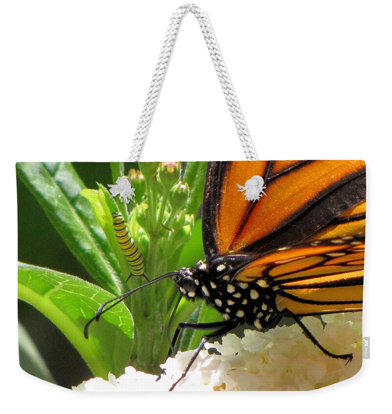 Monarch Weekender Tote Bag featuring the photograph Before and After by KATIE Vigil
