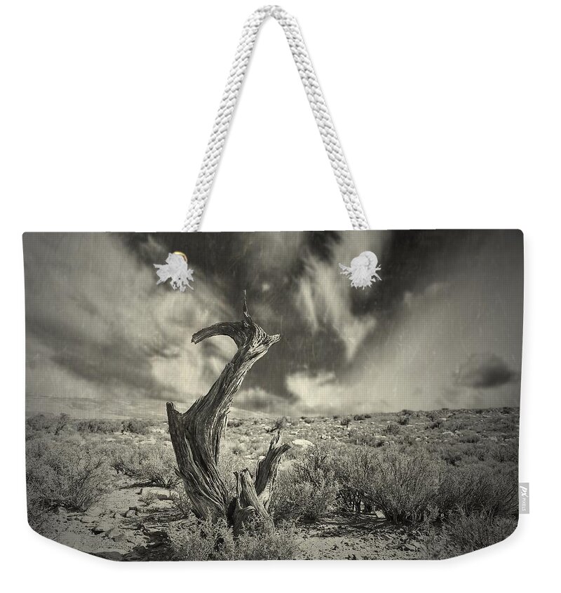 Tree Weekender Tote Bag featuring the photograph before I knew you by Mark Ross