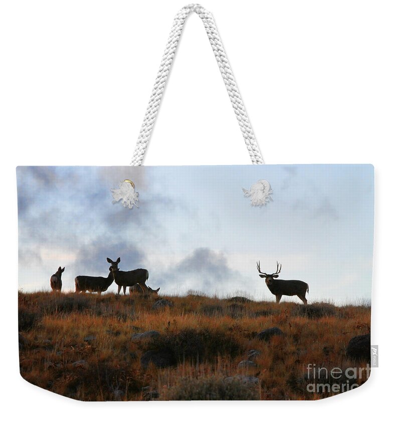 Deer Weekender Tote Bag featuring the photograph Before the Sun goes Down by Edward R Wisell