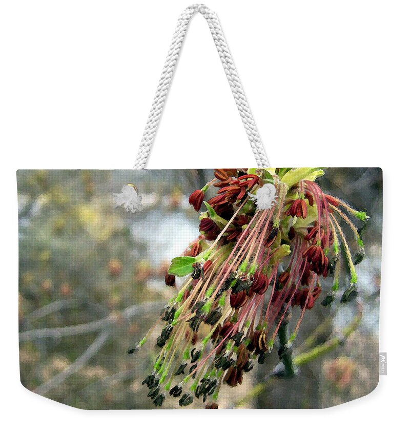 Spring Weekender Tote Bag featuring the photograph Beginnings by Kathy Bassett