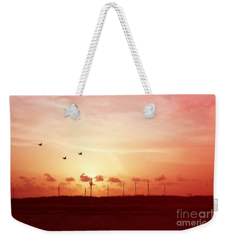 Horizontal Weekender Tote Bag featuring the photograph Beginnings by Trish Mistric