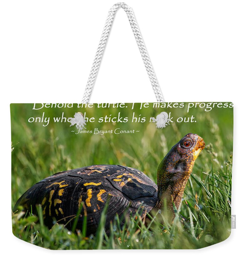 Turtle Weekender Tote Bag featuring the photograph Behold The Turtle by Bill Wakeley