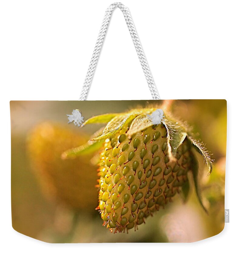 Strawberries Weekender Tote Bag featuring the photograph Being Young and Green by Rona Black