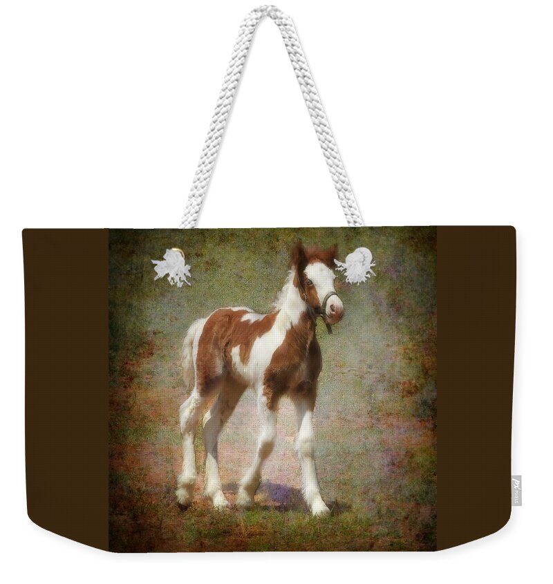 Gypsy Horse Weekender Tote Bag featuring the mixed media Bella Rose by Fran J Scott